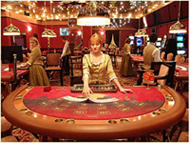 Live casino dealer